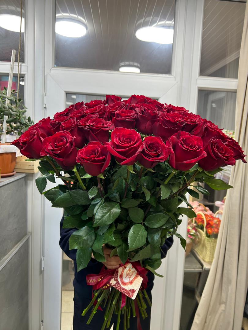 Красная роза Explorer