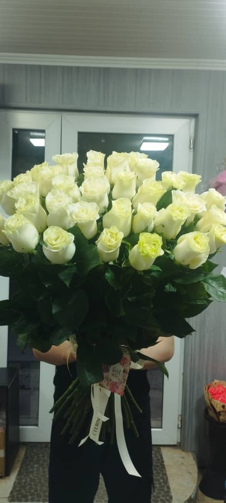 Белая роза сорт Mondiale